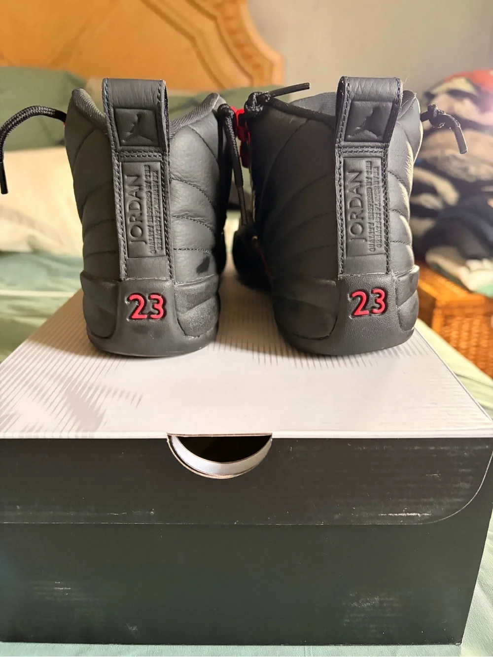 Jordan retro 12